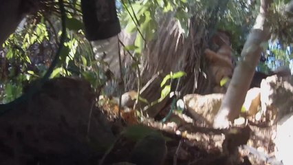 Go Pro on river turtle