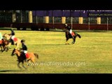 Polo players in the field competing with each other at Polo International Match 2013, Manipur