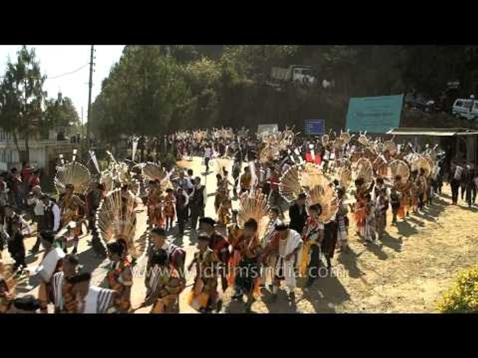 Momentous occasion the traditional stone pulling