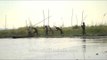 Canoes being used for fishing and navigation purposes in Loktak lake, Manipur