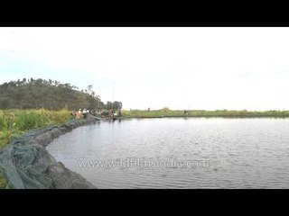 Indigenous people of Loktak Lake spreading the fishing net into the water