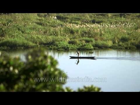 Rowing in the lake of Loktak - Manipur