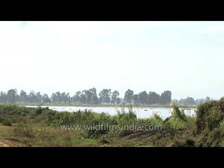 View of Loktak Lake and Phumdis in Manipur