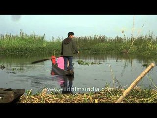 Normal life in Loktak Lake