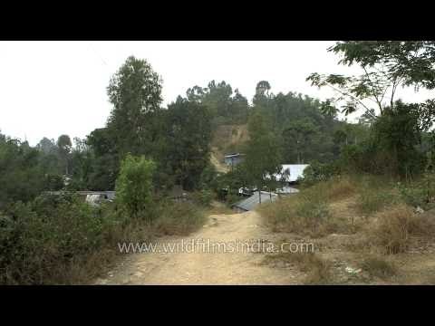 Loktak Lake of Manipur, the only floating lake in the world