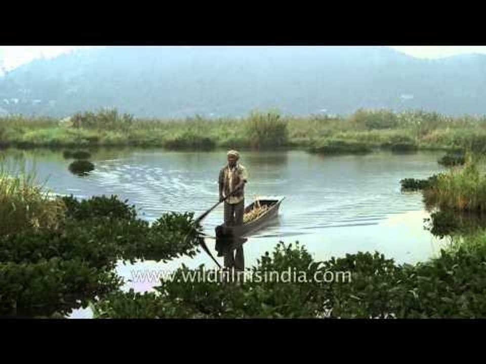 Tribal men sailing in boats at Loktak Lake, Manipur