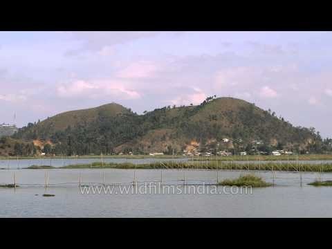 Floating huts in Loktak Lake, Manipur