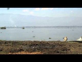 Man angling beside the Loktak Lake in Manipur