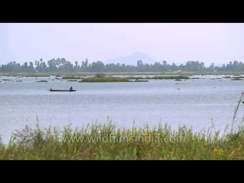 Enjoying been alone, sailing at Loktak Lake