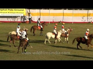 Riders and their mounts during a polo match