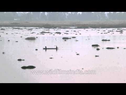 Two men sailing in the middle of the Loktak Lake, Manipur