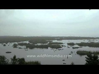Villagers boating over the Loktak Lake