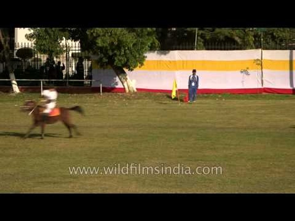 Players disputing the ball in a polo match.