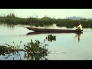 Fisherwomen of Loktak, Manipur