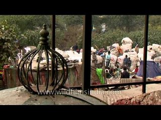 Bundle of trash collected by rag picker for sale to scrap dealer