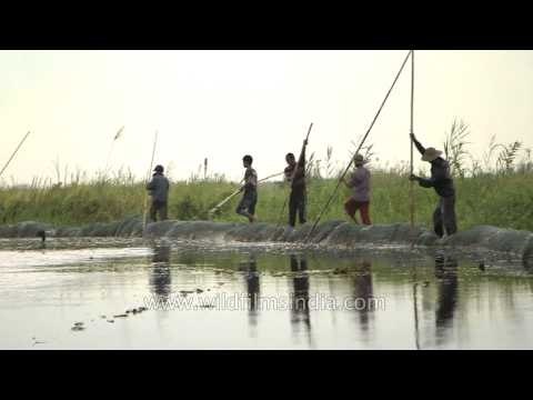 Tribal men preparing the fishnet for fishing at Loktak Lake,Manipur