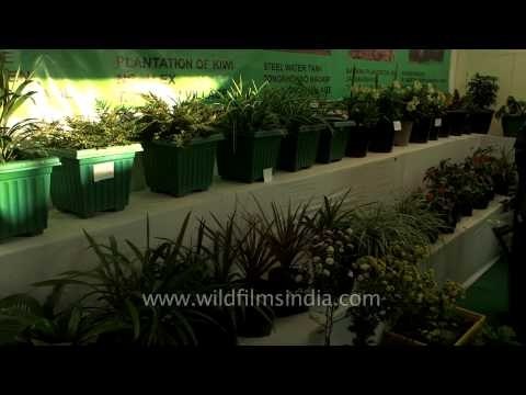 Flora corner, Manipur Sangai Festival, 2013