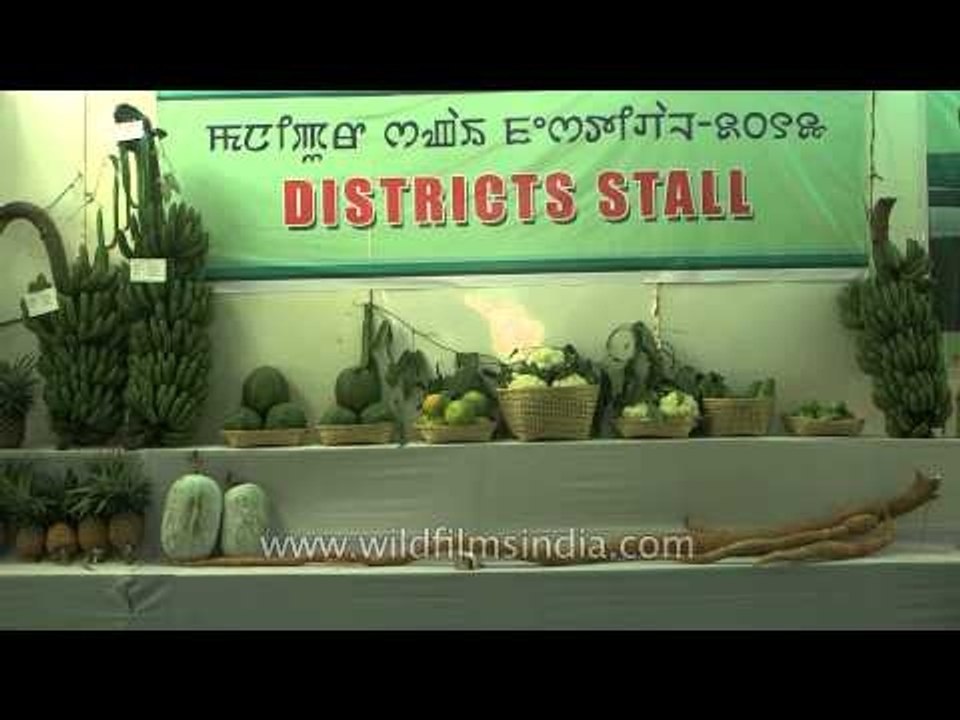 Horticulture displaying their product at Sangai Fest 2013