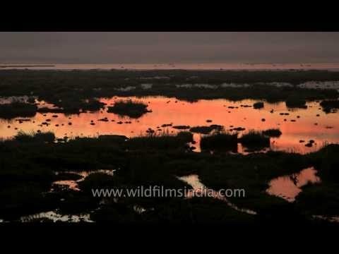 Sunset beauty at Loktak Lake - Manipur