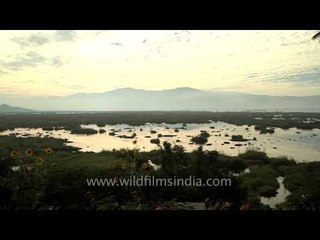 Solitary fisherman in the Loktak Lake