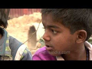 Dark future: Delhi child rag picker's life