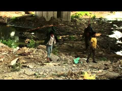 Spending some fun time with friends : Delhi rag pickers