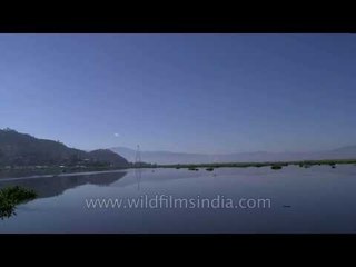 Into the deep water of loktak Lake