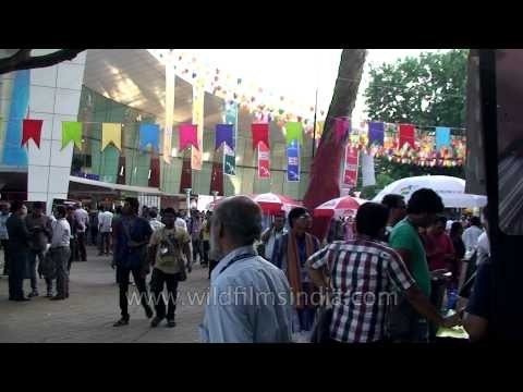 Artwork and sculptures at 44th International Film Festival of India, Goa