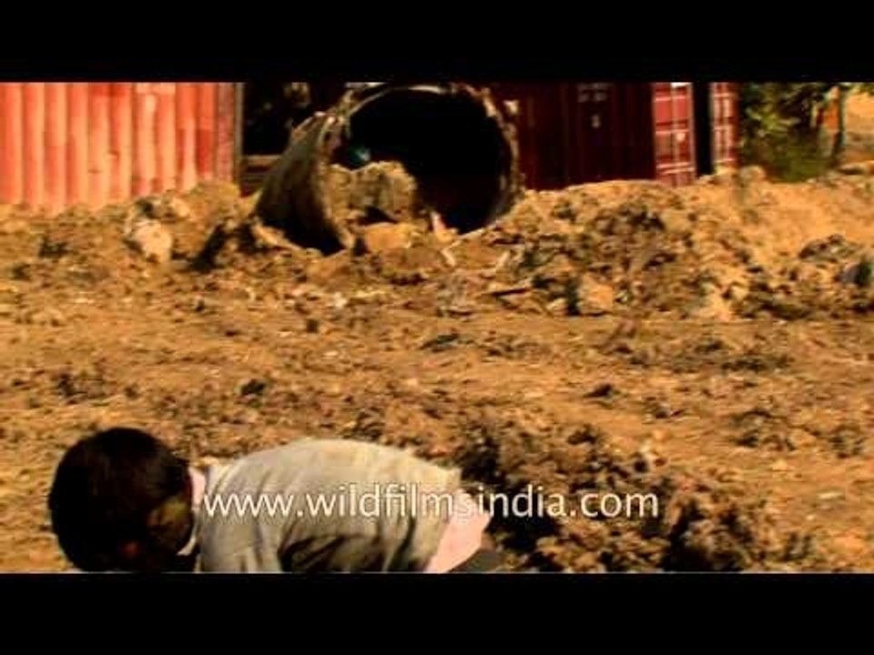 Accumulating the entire day's collection : Rag pickers of Delhi