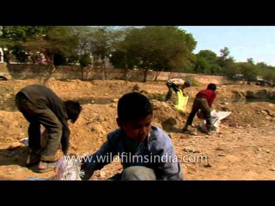 Tiny hands collecting trashes : Rag pickers in Delhi