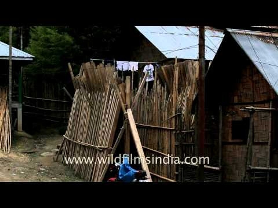 Tribal houses on the hills of Ziro, Arunachal