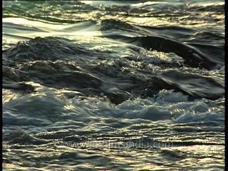 Ken river - Wildlifer's paradise