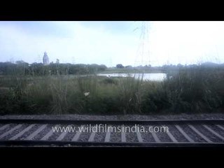 Train ride through the heart of North India