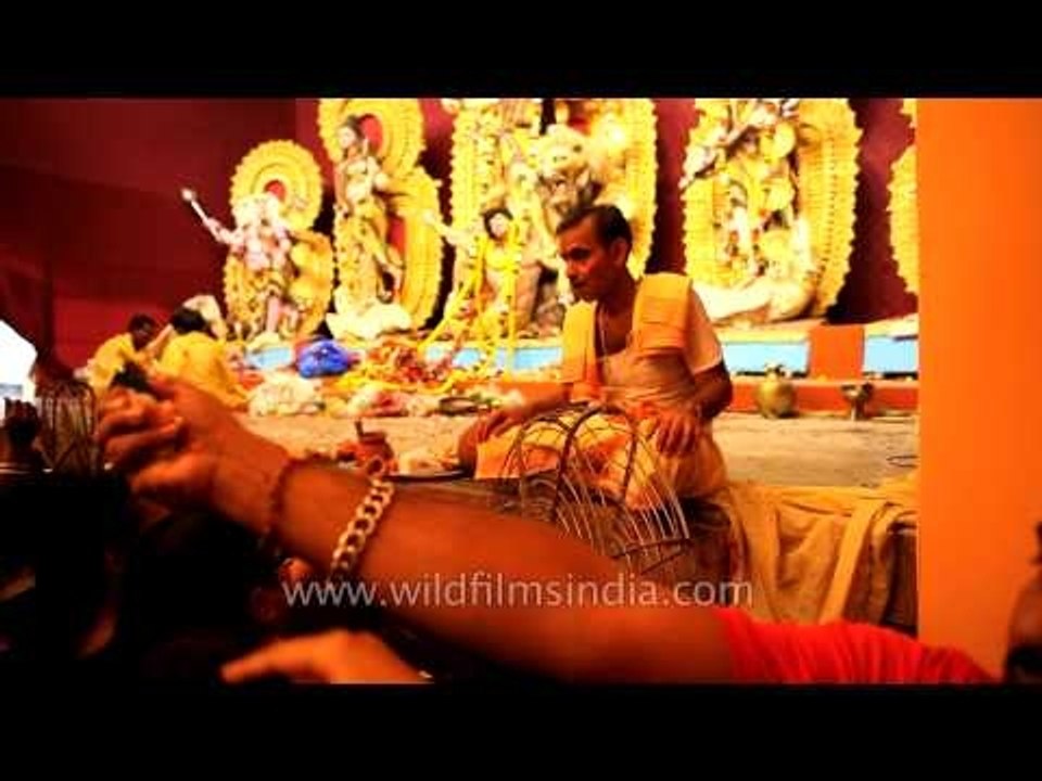 The biggest festival of Bengal and Bengalis - Durga puja