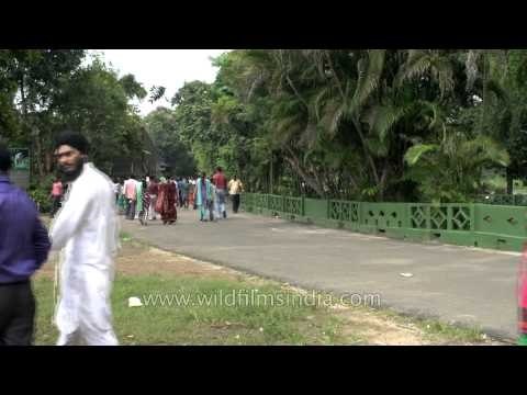 A zoological expedition: Alipore zoological garden; Kolkata