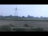 Window into the Indian Countryside: View from a train