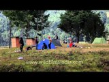 Camping with Vagabond Expeditions at the Ziro Music Festival