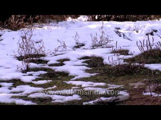 Snow on the way to Giri Ganga
