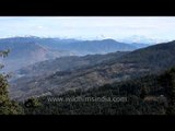 Apple orchards and snow peaks from Kuppad, above Jubbal