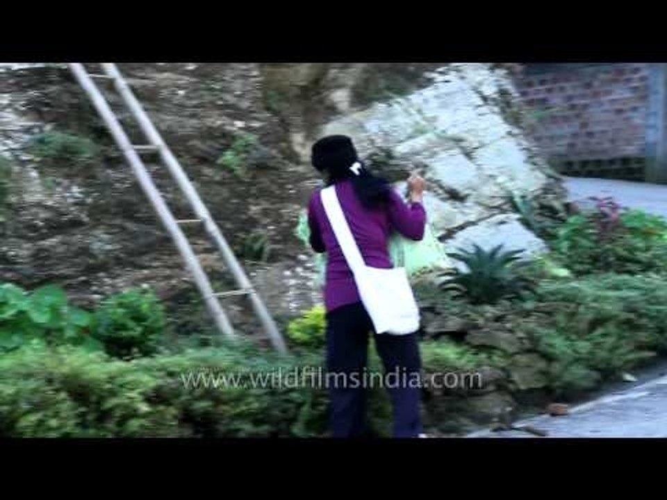 Elderly village man cleaning the hill in Baktwang