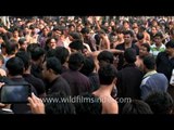 Shia Muslims beat themselves with knives at a Muharram procession