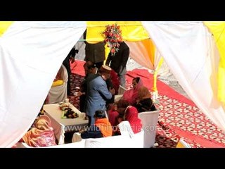 Tikka Sahib with Tikka Rani at their wedding reception in Jubbal