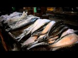 Kolkata Market: Varieties of Fishes, Eyecatching and Mouthering as well