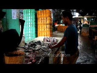 Kolkata Market: the Main Ingredient of Delicacies of Bengal, Fish