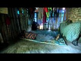 Inside the Tree house: Tribals in South India