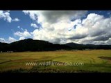 Rice plains of Ziro in Arunachal Pradesh