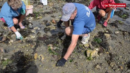 Grandes marées. Des centaines d'amateurs de fruits de mer à Riantec (56).