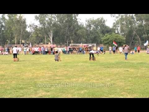 Participants running after binding the basket at Naga Fest'13