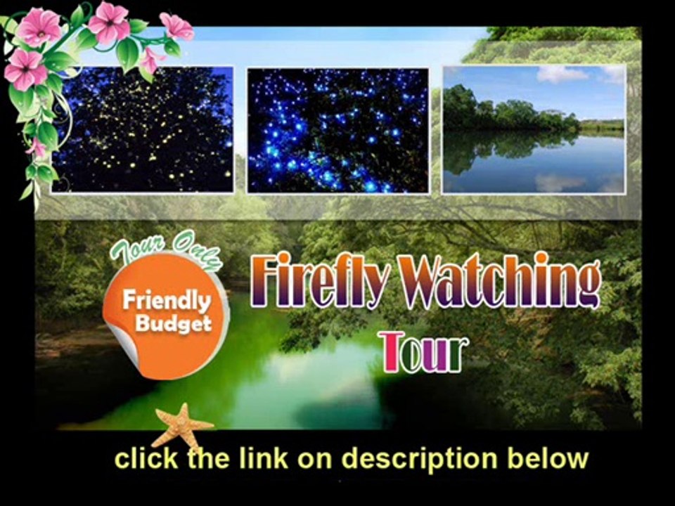 FIREFLY WATCHING IN BOHOL