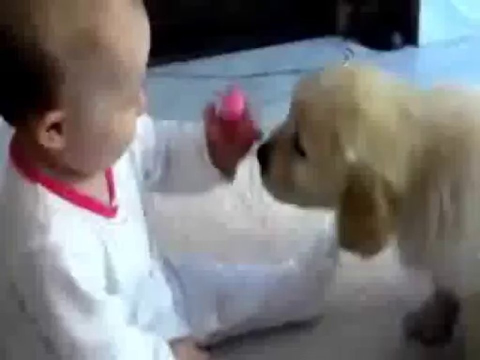 chien qui parler